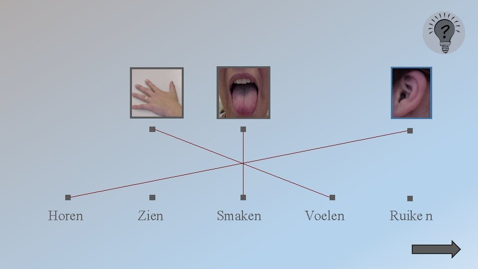 Horen Zien Smaken Voelen Ruike n 