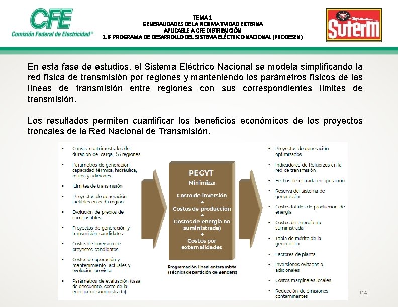 TEMA 1 GENERALIDADES DE LA NORMATIVIDAD EXTERNA APLICABLE A CFE DISTRIBUCIÓN 1. 6 PROGRAMA