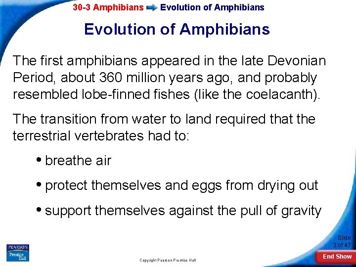 30 -3 Amphibians Evolution of Amphibians The first amphibians appeared in the late Devonian