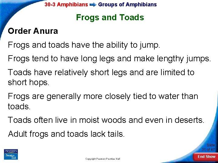 30 -3 Amphibians Groups of Amphibians Frogs and Toads Order Anura Frogs and toads