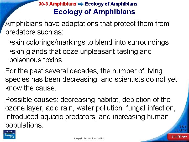 30 -3 Amphibians Ecology of Amphibians have adaptations that protect them from predators such