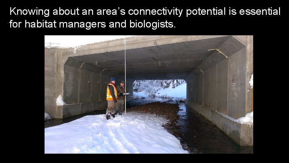 Knowing about an area’s connectivity potential is essential for habitat managers and biologists. 