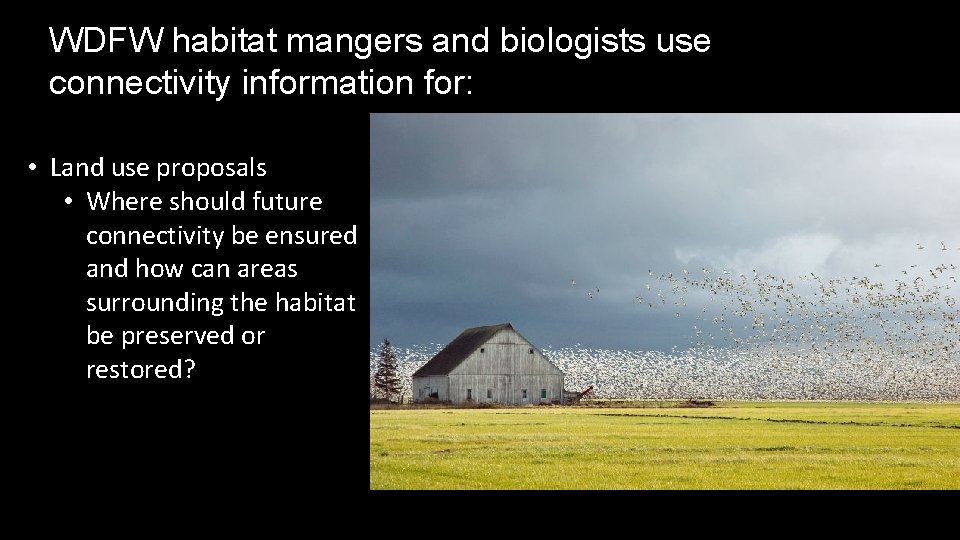 WDFW habitat mangers and biologists use connectivity information for: • Land use proposals •