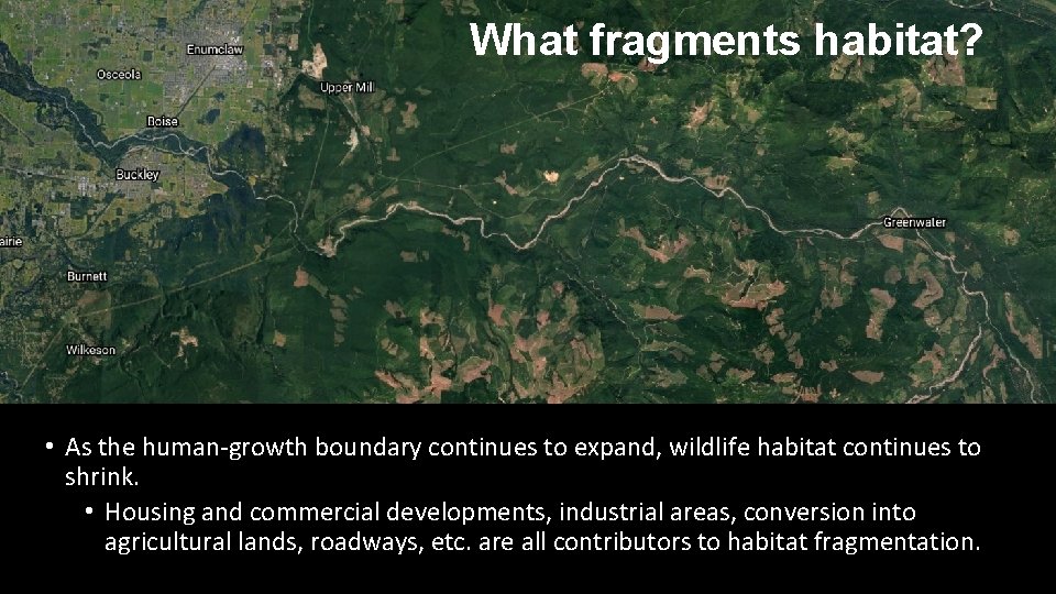 What fragments habitat? • As the human-growth boundary continues to expand, wildlife habitat continues