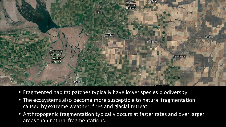  • Fragmented habitat patches typically have lower species biodiversity. • The ecosystems also