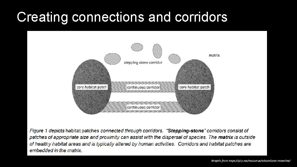 Creating connections and corridors Graphic from https: //y 2 y. net/resources/educational-materials/ 