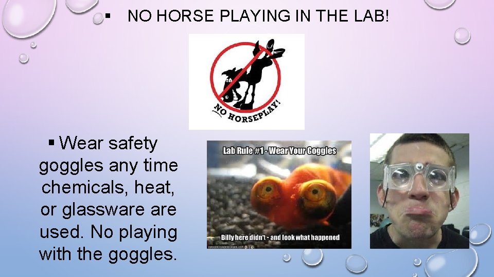 § NO HORSE PLAYING IN THE LAB! § Wear safety goggles any time chemicals,