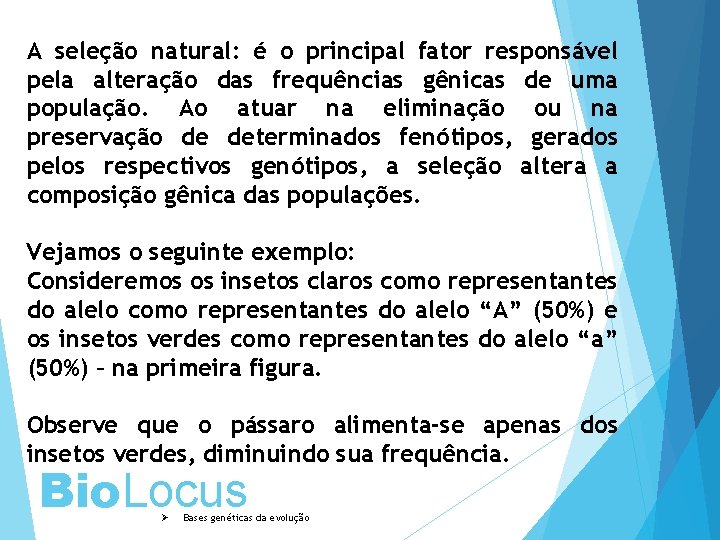 A seleção natural: é o principal fator responsável pela alteração das frequências gênicas de