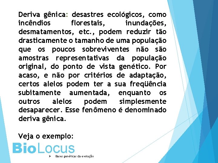 Deriva gênica: desastres ecológicos, como incêndios florestais, inundações, desmatamentos, etc. , podem reduzir tão