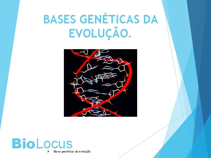 BASES GENÉTICAS DA EVOLUÇÃO. Bio. Locus Ø Bases genéticas da evolução 