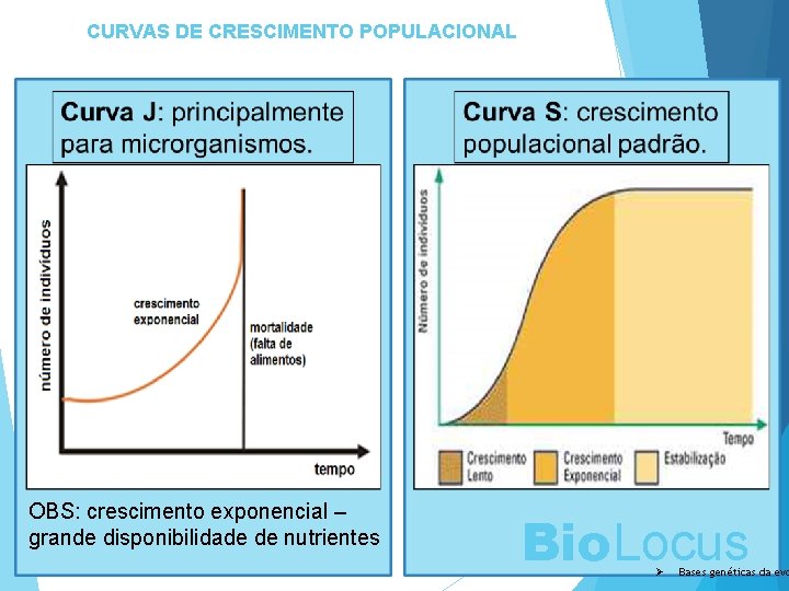 CURVAS DE CRESCIMENTO POPULACIONAL OBS: crescimento exponencial – grande disponibilidade de nutrientes Bio. Locus