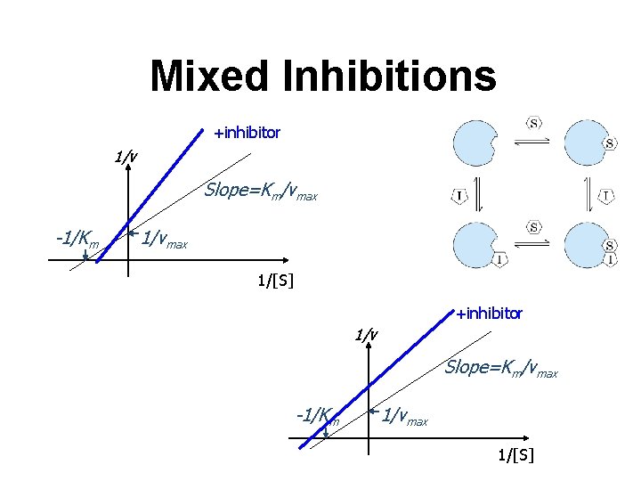Mixed Inhibitions +inhibitor 1/v Slope=Km/vmax -1/Km 1/vmax 1/[S] 