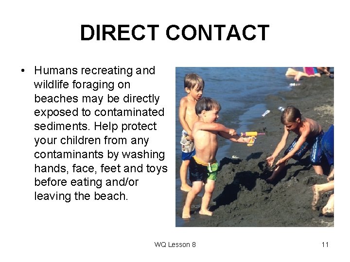 DIRECT CONTACT • Humans recreating and wildlife foraging on beaches may be directly exposed