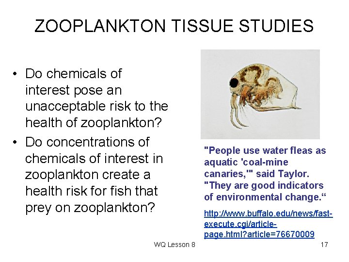 ZOOPLANKTON TISSUE STUDIES • Do chemicals of interest pose an unacceptable risk to the