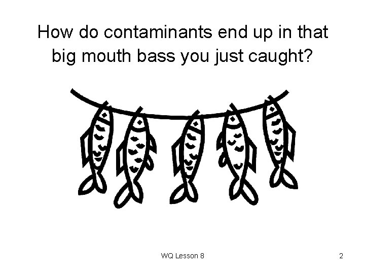 How do contaminants end up in that big mouth bass you just caught? WQ
