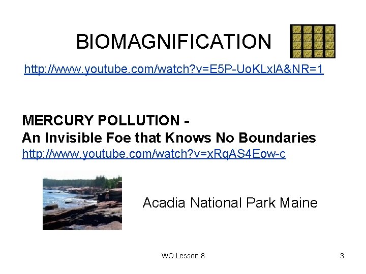 BIOMAGNIFICATION http: //www. youtube. com/watch? v=E 5 P-Uo. KLxl. A&NR=1 MERCURY POLLUTION An Invisible