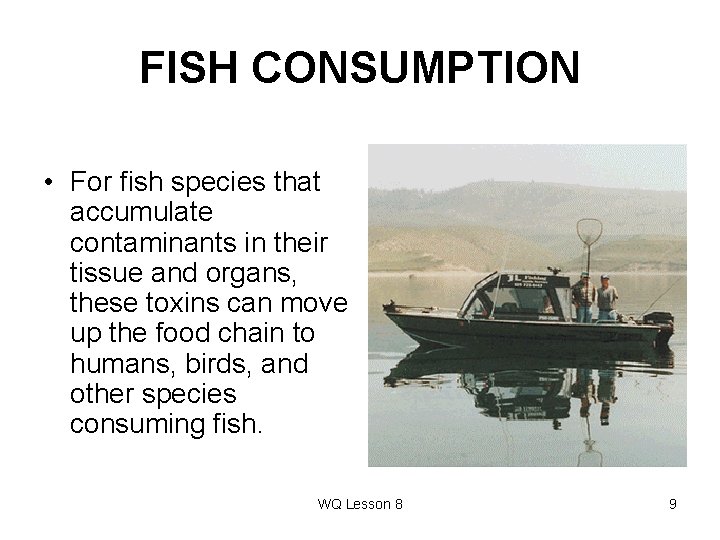FISH CONSUMPTION • For fish species that accumulate contaminants in their tissue and organs,