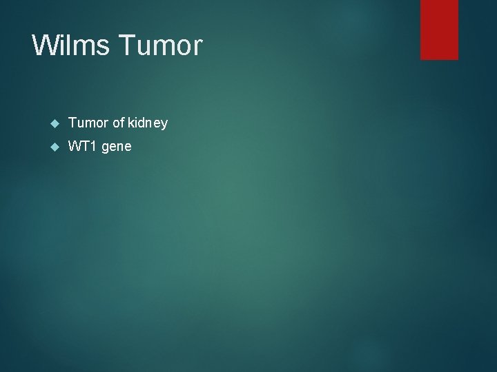 Wilms Tumor of kidney WT 1 gene 