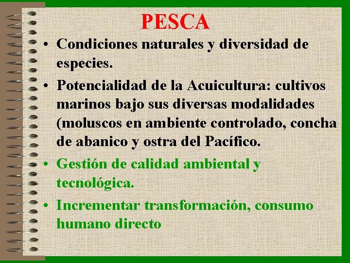 PESCA • Condiciones naturales y diversidad de especies. • Potencialidad de la Acuicultura: cultivos