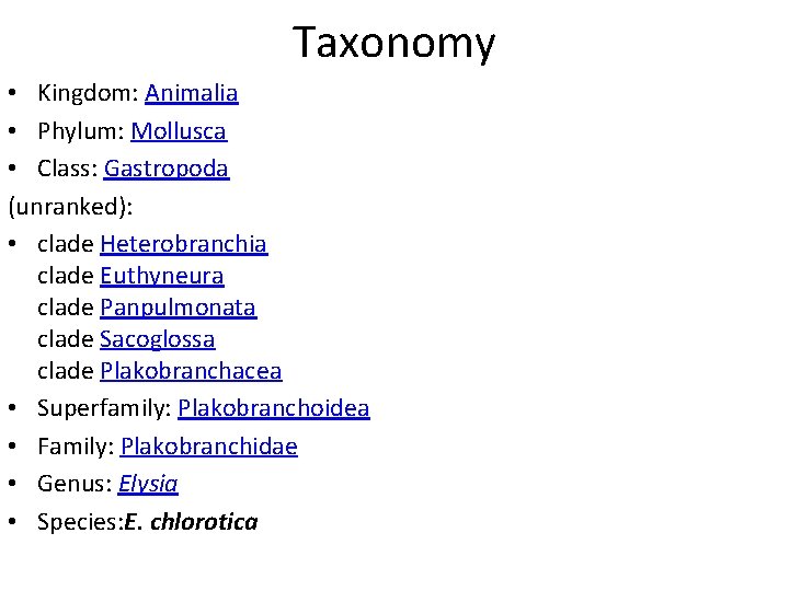 Taxonomy • Kingdom: Animalia • Phylum: Mollusca • Class: Gastropoda (unranked): • clade Heterobranchia