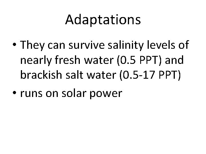 Adaptations • They can survive salinity levels of nearly fresh water (0. 5 PPT)