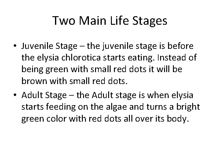 Two Main Life Stages • Juvenile Stage – the juvenile stage is before the