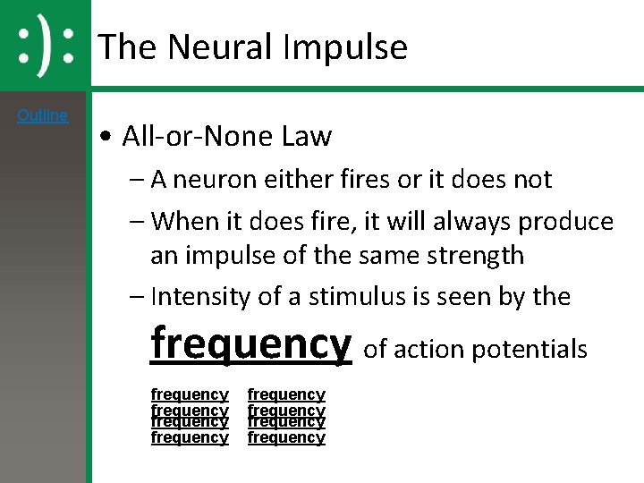 The Neural Impulse Outline • All-or-None Law – A neuron either fires or it