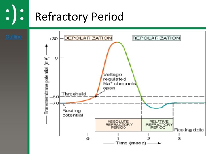 Refractory Period Outline 