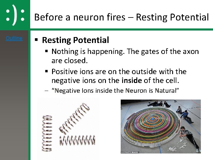Before a neuron fires – Resting Potential Outline § Resting Potential § Nothing is