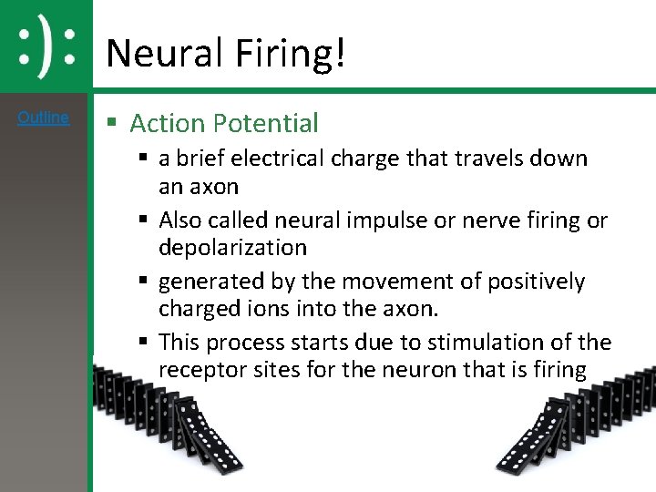 Neural Firing! Outline § Action Potential § a brief electrical charge that travels down