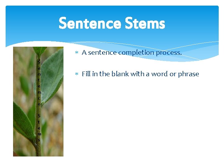 Sentence Stems A sentence completion process. S e n t e n c e