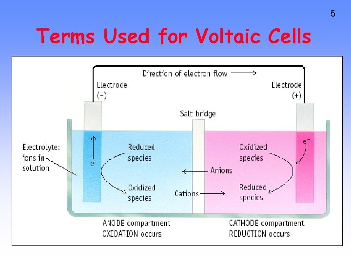 5 Terms Used for Voltaic Cells 