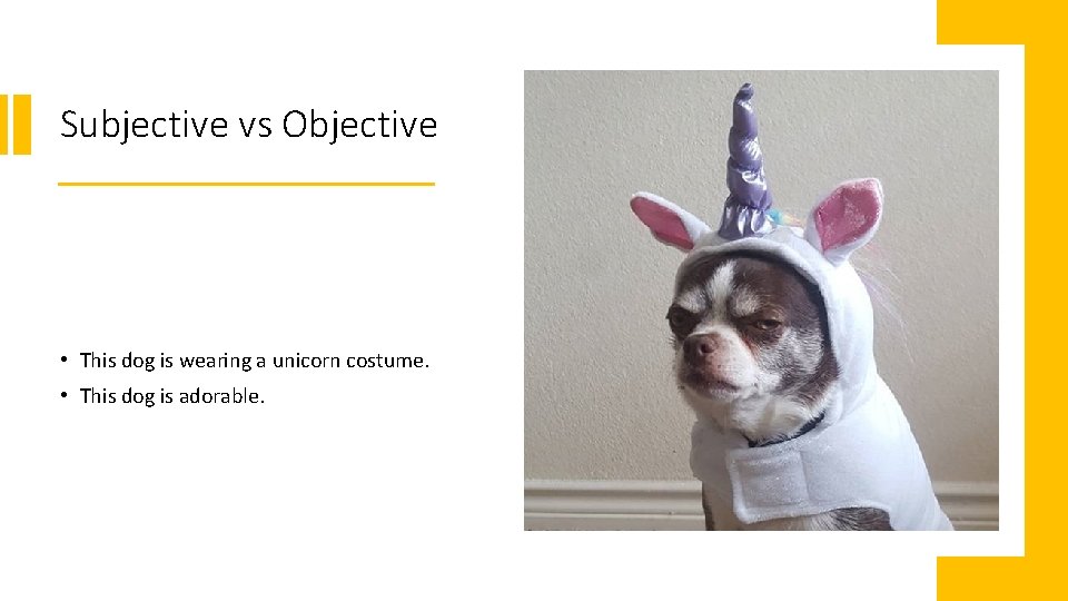 Subjective vs Objective • This dog is wearing a unicorn costume. • This dog