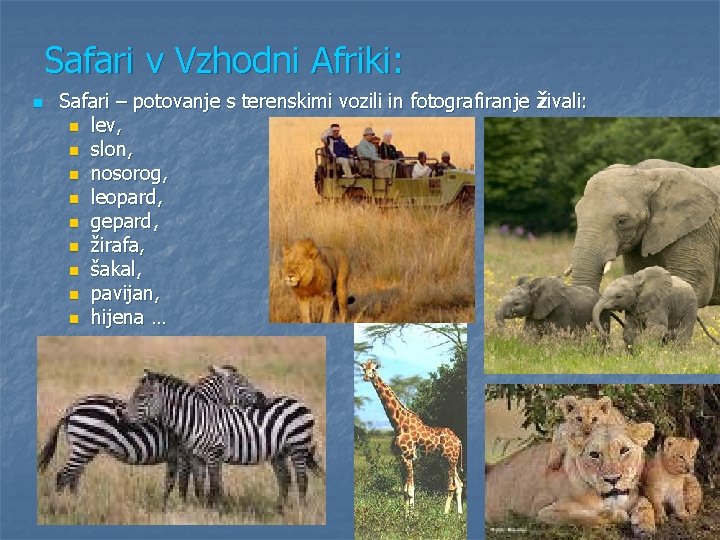 Safari v Vzhodni Afriki: n Safari – potovanje s terenskimi vozili in fotografiranje živali: