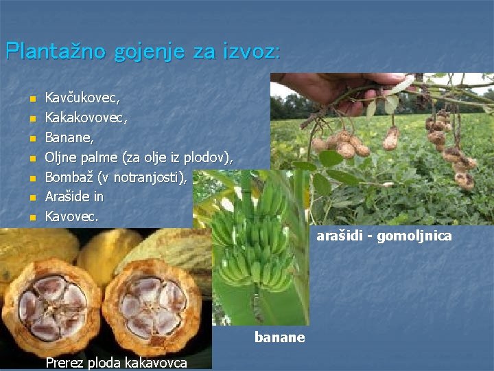 Plantažno gojenje za izvoz: n n n n Kavčukovec, Kakakovovec, Banane, Oljne palme (za