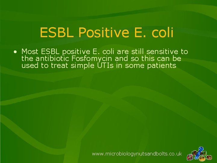 ESBL Positive E. coli • Most ESBL positive E. coli are still sensitive to ESBL Positive E. coli • Most ESBL positive E. coli are still sensitive to
