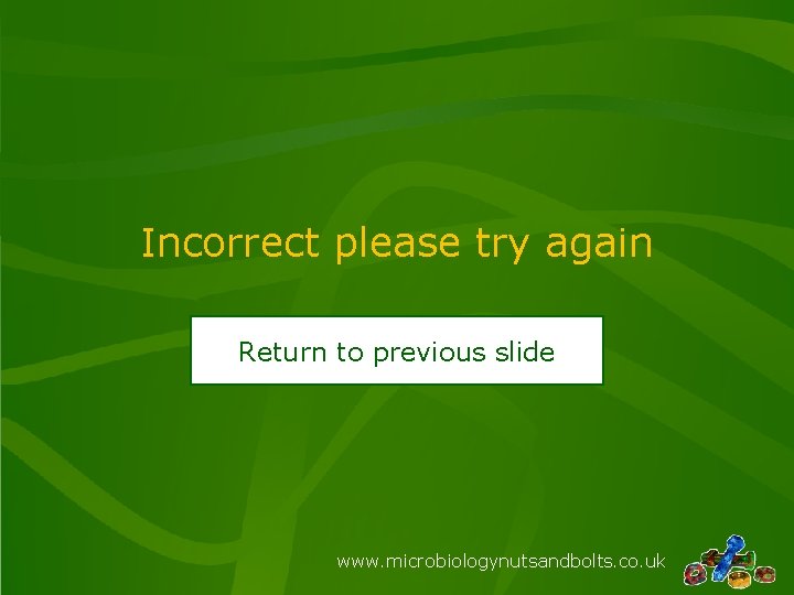 Incorrect please try again Return to previous slide www. microbiologynutsandbolts. co. uk Incorrect please try again Return to previous slide www. microbiologynutsandbolts. co. uk