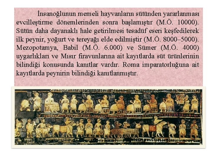 İnsanoğlunun memeli hayvanların sütünden yararlanması evcilleştirme dönemlerinden sonra başlamıştır (M. Ö. 10000). Sütün daha