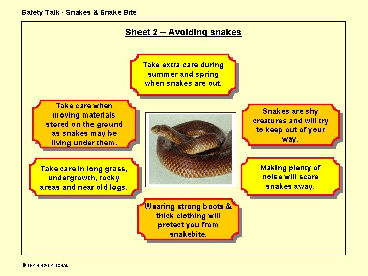 Safety Talk - Snakes & Snake Bite Sheet 2 – Avoiding snakes Take extra