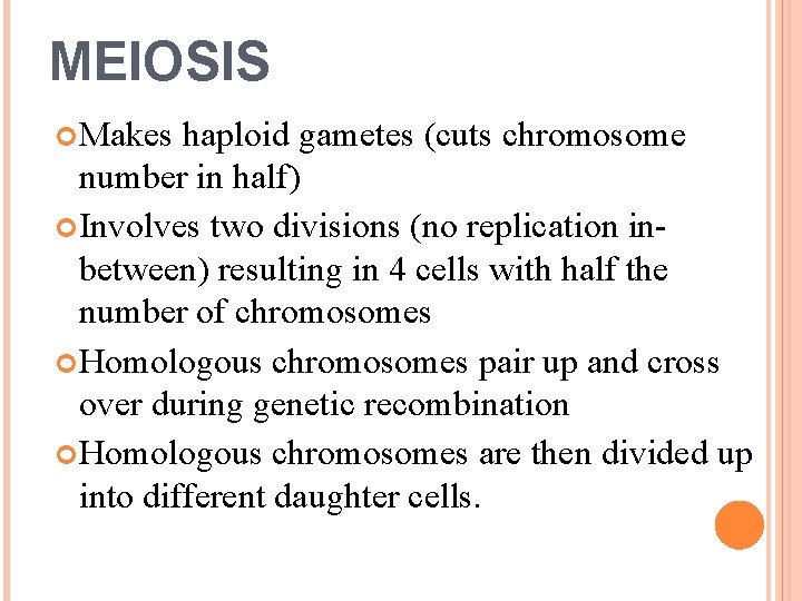 MEIOSIS Makes haploid gametes (cuts chromosome number in half) Involves two divisions (no replication