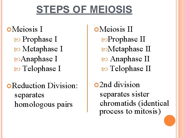 STEPS OF MEIOSIS Meiosis I Prophase I Metaphase I Anaphase I Telophase I Reduction