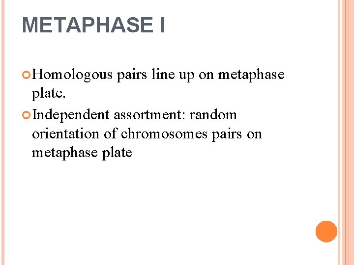 METAPHASE I Homologous pairs line up on metaphase plate. Independent assortment: random orientation of