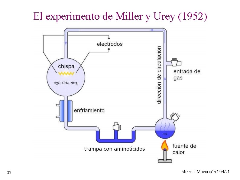 El experimento de Miller y Urey (1952) 23 Morelia, Michoacán 14/4/21 