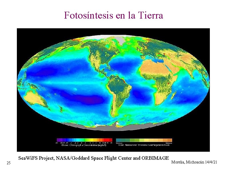 Fotosíntesis en la Tierra 25 Sea. Wi. FS Project, NASA/Goddard Space Flight Center and