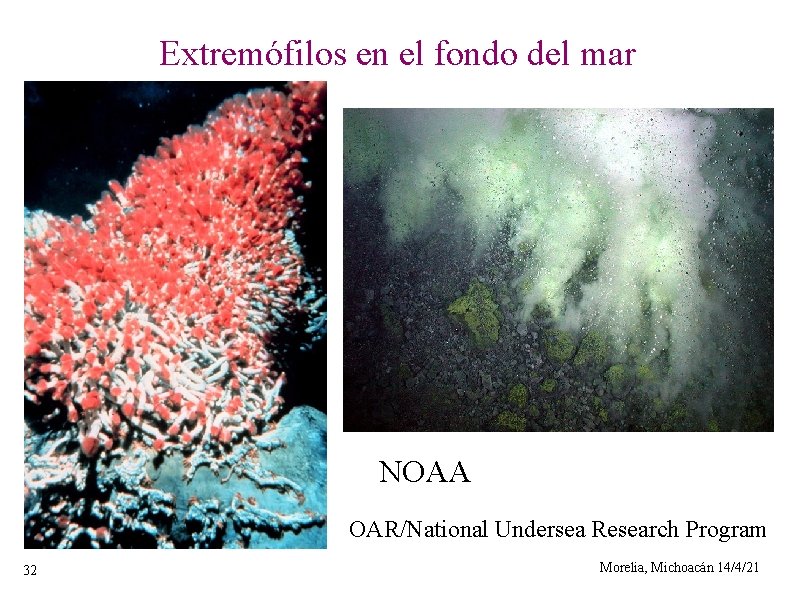 Extremófilos en el fondo del mar NOAA OAR/National Undersea Research Program 32 Morelia, Michoacán
