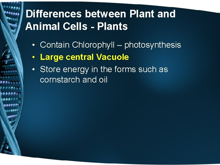 Differences between Plant and Animal Cells - Plants • Contain Chlorophyll – photosynthesis •