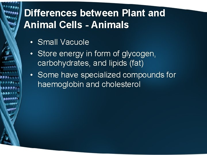 Differences between Plant and Animal Cells - Animals • Small Vacuole • Store energy