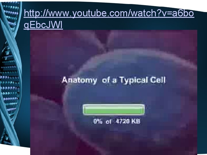 http: //www. youtube. com/watch? v=a 6 bo q. Ebc. JWI 
