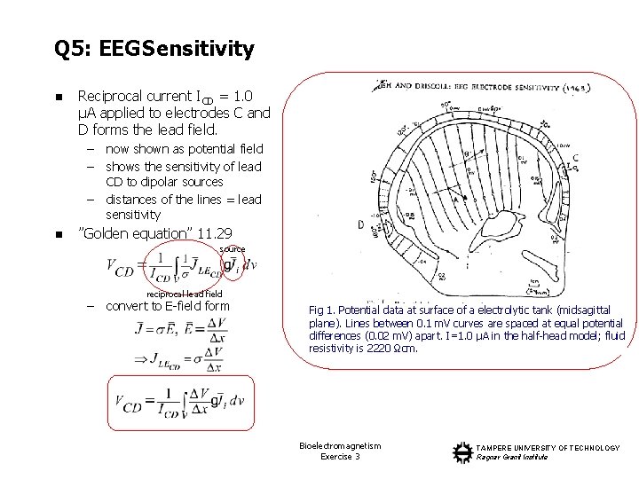 Q 5: EEG Sensitivity n Reciprocal current ICD = 1. 0 µA applied to