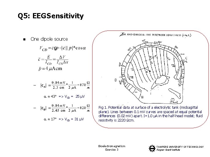Q 5: EEG Sensitivity n One dipole source – |c. A| = ≈ 43°